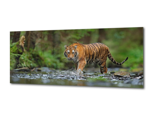 Wandbild aus Glas – erhältlich in 5 verschiedenen Größen – Tierserie 02: Tiger läuft im Wasser