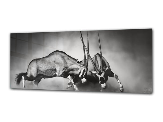 Glass Print Wall Art – Image on Glass 125 x 50 cm (? 50” x 20”) ; Animals 3
