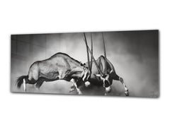 Glass Print Wall Art – Image on Glass 125 x 50 cm (? 50” x 20”) ; Animals 3
