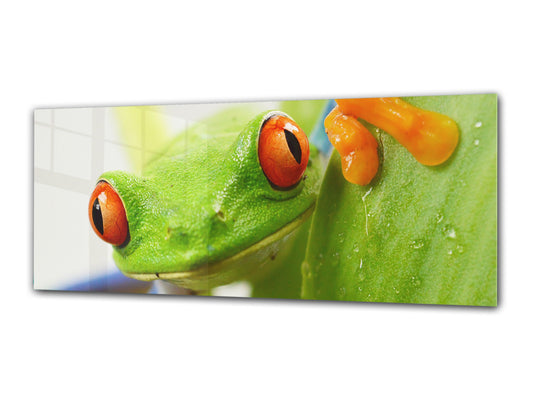 Glass Print Wall Art – Image on Glass 125 x 50 cm (? 50” x 20”) ; Animals 2