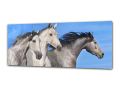 Glass Print Wall Art – Image on Glass 125 x 50 cm (≈ 50” x 20”) ; Horses 6