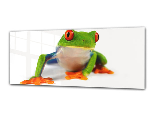 Arte mural con impresión en vidrio: imagen sobre vidrio de 125 x 50 cm (≈ 50” x 20”); Mr. Frog