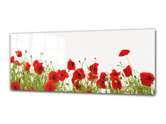 Glasdruck-Wandkunst – Bild auf Glas 125 x 50 cm (≈ 50” x 20”) ; Mohnblumen 7