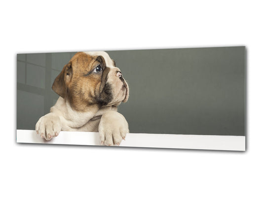 Arte mural con impresión en vidrio: imagen sobre vidrio de 125 x 50 cm (≈ 50” x 20”); Cachorro