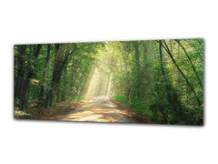 Glass Print Wall Art – Image on Glass 125 x 50 cm (? 50” x 20”) ; Forest 17