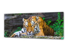 Glass Print Wall Art – Image on Glass 125 x 50 cm (? 50” x 20”) ; Tiger 3
