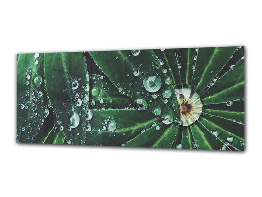 Wandkunst, Glasdruckbild, 125 x 50 cm (≈ 50 x 20 Zoll), Blatt 2