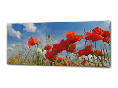 Arte mural con impresión en vidrio: imagen sobre vidrio de 125 x 50 cm (≈ 50” x 20”); Amapolas 2