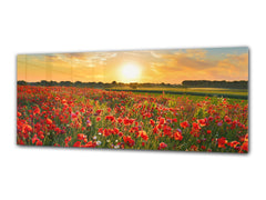Glass Print Wall Art – Image on Glass 125 x 50 cm (? 50” x 20”) ; Poppies 4