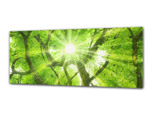 Glasdruck-Wandkunst – Bild auf Glas 125 x 50 cm (≈ 50” x 20”) ; Baum 5