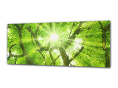 Glass Print Wall Art – Image on Glass 125 x 50 cm (? 50” x 20”) ; Tree 5