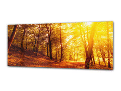 Arte mural con impresión en vidrio: imagen sobre vidrio, 125 x 50 cm (≈ 50” x 20”); Bosque 11