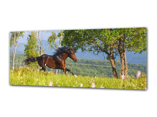 Wandbild auf Glas – Bild auf Glas 125 x 50 cm (≈ 50” x 20”) ; Pferd