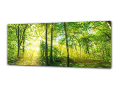 Glass Print Wall Art – Image on Glass 125 x 50 cm (? 50” x 20”) ; Forest 13