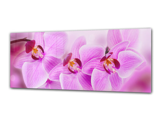 Glasdruck-Wandkunst – Bild auf Glas 125 x 50 cm (≈ 50” x 20”) ; Blume 16
