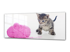 Glass Print Wall Art – Image on Glass 125 x 50 cm (? 50” x 20”) ; Kitty 3
