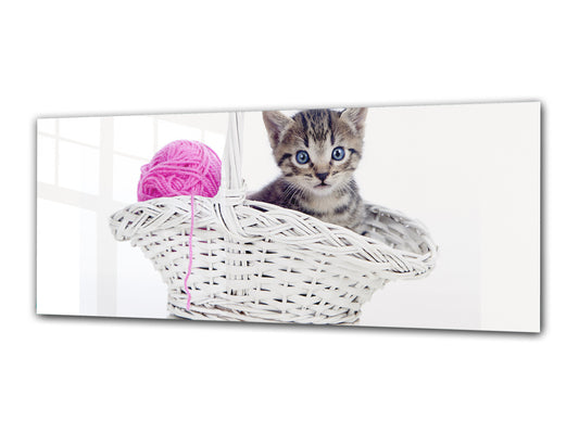 Glass Print Wall Art – Image on Glass 125 x 50 cm (? 50” x 20”) ; Kitty 2