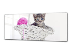 Glass Print Wall Art – Image on Glass 125 x 50 cm (? 50” x 20”) ; Kitty 2