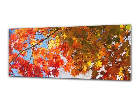 Glasdruck-Wandkunst – Bild auf Glas 125 x 50 cm (≈ 50” x 20”) ; Blätter 5