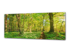 Glass Print Wall Art – Image on Glass 125 x 50 cm (? 50” x 20”) ; Forest 15