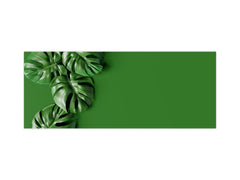 Stunning glass wall art - Wide format kitchen backsplash with and without metal back-coating - Tropical Leaves Series: Green monstera deliciosa