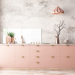 Glass kitchen panel with and w/o stainless steel back-coating: Little plant