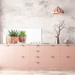 Glass kitchen panel with and w/o stainless steel back-coating: Succulent plants in pots 2