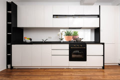 Glass kitchen panel with and w/o stainless steel back-coating: Succulent plants in pots 2