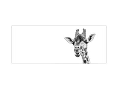 Glass backsplash w/ and w/o metal sheet backing with magnetic properties: black and white giraffe