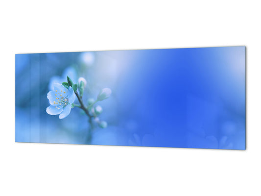 Glass splashback with metal backing - Kitchen glass panel: Spring Blossom