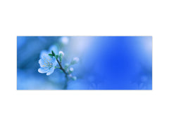 Glass splashback with metal backing - Kitchen glass panel: Spring Blossom