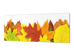 Stunning glass wall art - Wide format backsplash with magnetic properties: Autumn tree leaf