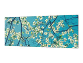 Wide-format tempered glass kitchen wall panel with metal backing - and without: Dogwood tree blossom