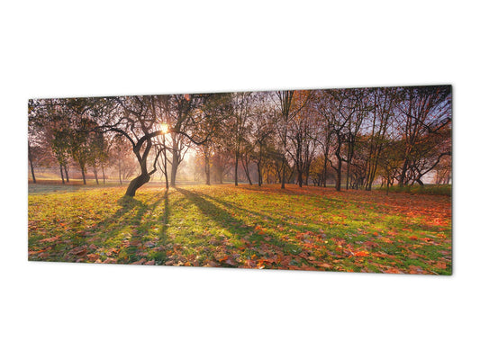 Stunning glass wall art - Wide format backsplash with magnetic properties: Sunny Landscape Of Trees
