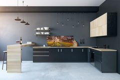 Stunning glass wall art - Wide format backsplash with magnetic properties: Sunny Landscape Of Trees