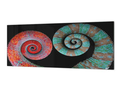 Glass kitchen panel with and w/o stainless steel back-coating: Chameleon tails