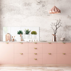 Glass backsplash w/ and w/o metal sheet backing with magnetic properties: Succulent plants pots