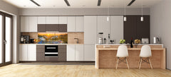 Glass kitchen panel with and w/o stainless steel back-coating: Barcelona from the Gaudi park
