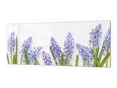 Glas-Küchenfront mit und ohne Edelstahl-Rückbeschichtung: Blaue Muscari-Blüten