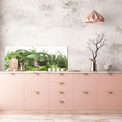 Glass kitchen panel with and w/o stainless steel back-coating: Basil, sage and rosemary