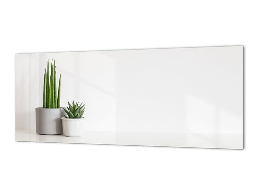 Glass backsplash w/ and w/o metal sheet backing with magnetic properties: Houseplants in flowerpots