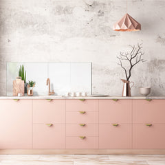 Glass backsplash w/ and w/o metal sheet backing with magnetic properties: Houseplants in flowerpots