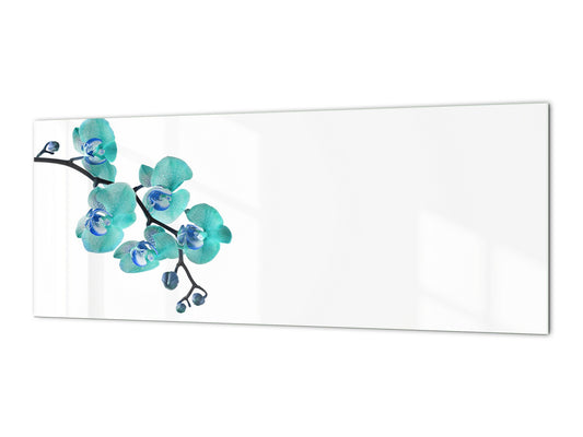 Large format horizontal backsplash - magnetic and non magnetic tempered glass: Beautiful Orchid - phalaenopsis