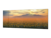 Glasrückwand mit Metallrückwand im Breitformat - Küchenplatte aus gehärtetem Glas: Sonnenblumenfeld bei Sonnenuntergang