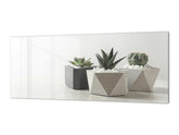 Glasrückwand mit Metallrückwand im Breitformat - Küchenplatte aus gehärtetem Glas: Sukkulenten in Blumentöpfen