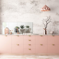 Glass splashback with metal backing in wide format - Kitchen tempered glass panel: Succulent plants in flowerpots