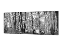 Wide-format tempered glass kitchen wall panel with metal backing - and without: Forest road