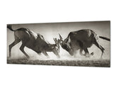 Toughened printed glass backsplash - Wideformat steel coated wall glass splashback: Duel in dust - South Africa