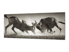 Toughened printed glass backsplash - Wideformat steel coated wall glass splashback: Duel in dust - South Africa