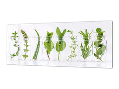 Contemporary glass kitchen panel - Wide format wall backsplash: Herb pots in the kitchen
